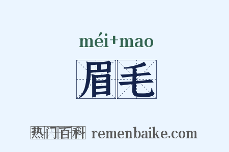 眉毛是什么意思的图片